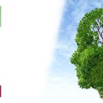 Employment Services Memory Workshop